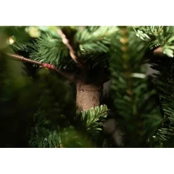 Albero di Natale Illuminato Anthony 2000LED h210Ø148cm PE+PVC-Magic Tree Sale