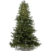 Albero di Natale Illuminato Anthony 2550LED h240Ø168cm PE+PVC-Magic Tree New