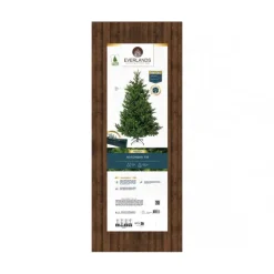 Albero di Natale Nordmann h180Ø130cm PE+PVC-Kaemingk Best