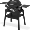 Barbecue a Gas Q 1200N Con Stand Black Cod. 1501087-Weber New