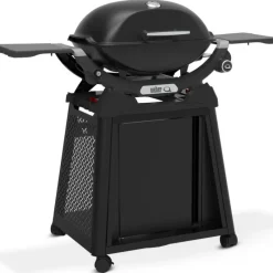 Barbecue a Gas Q 2200N Con Carrello Black Cod. 1501110-Weber New
