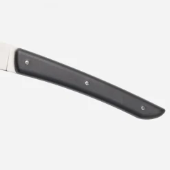 Set 4 Coltelli da Bistecca Colore Nero-Berkel Hot