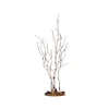 Birch Tree Medium Cod. 34967-Lemax Discount