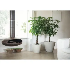 Campana Shabby Rigata-Vasar Outlet