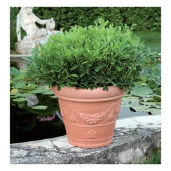 Campana Tropea-Vasar Hot