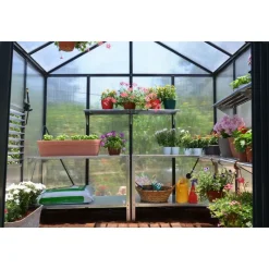 Glory Serra Da Giardino in Policarbonato di Premium 244X253X268 cm-Canopia