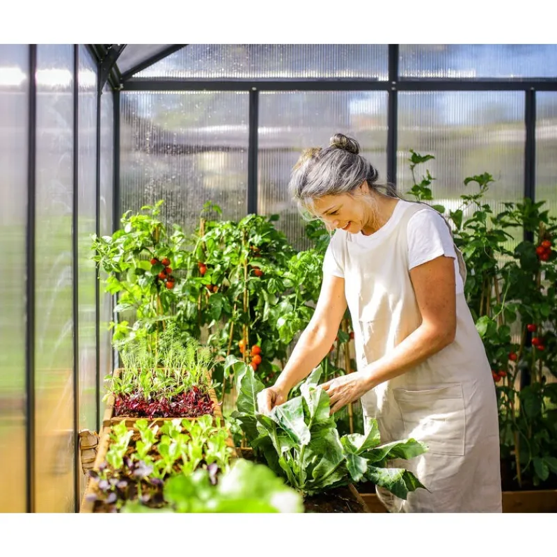 Glory Serra Da Giardino in Policarbonato di Premium 604X253X268 cm-Canopia