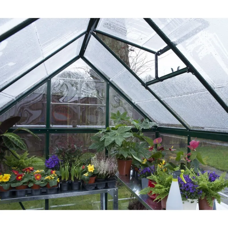 Harmony Trasparente Serra Da Giardino in Policarbonato 306X185X208 cm Verde-Canopia Hot