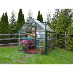 Harmony Trasparente Serra Da Giardino in Policarbonato 247X185X208 cm Verde-Canopia Outlet