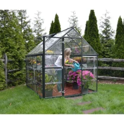 Harmony Trasparente Serra Da Giardino in Policarbonato 247X185X208 cm Grigio-Canopia