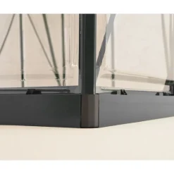 Harmony Trasparente Serra Da Giardino in Policarbonato 247X185X208 cm Grigio-Canopia