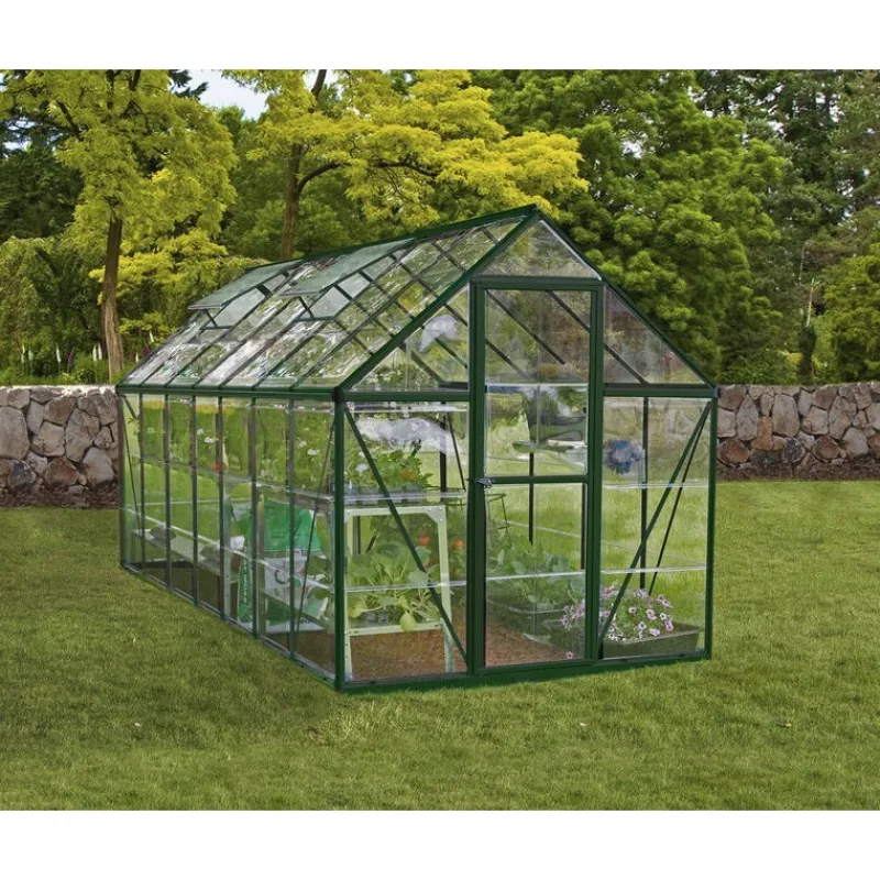 Harmony Trasparente Serra Da Giardino in Policarbonato 426X185X208 cm Verde-Canopia New