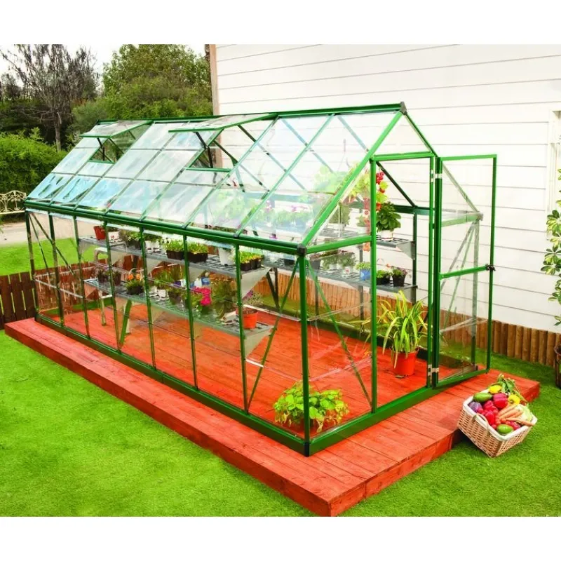 Harmony Trasparente Serra Da Giardino in Policarbonato 426X185X208 cm Verde-Canopia New