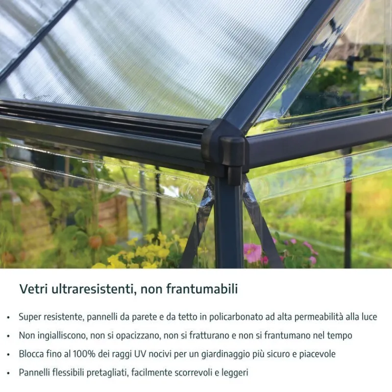 Harmony Trasparente Serra Da Giardino in Policarbonato 426X185X208 cm Verde-Canopia New