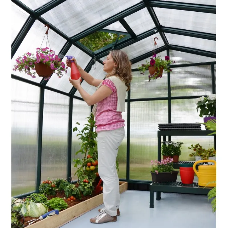 Hobby Gardener Doppio Strato Serra Da Giardino in Policarbonato 266X266X208 cm Verde-Canopia Online