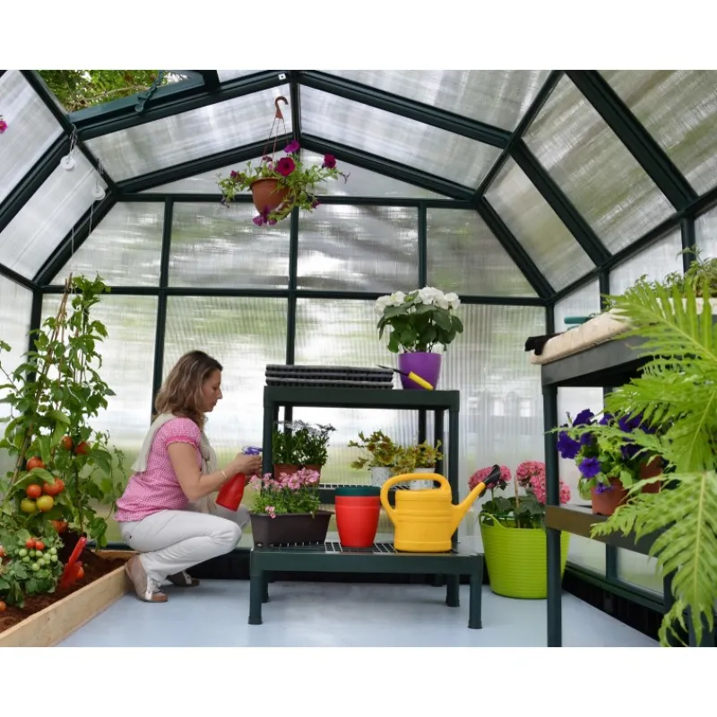 Hobby Gardener Doppio Strato Serra Da Giardino in Policarbonato 266X266X208 cm Verde-Canopia Online