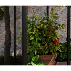 Ivy Mini Serra Da Giardino in Policarbonato 124X64X150 cm-Canopia Online