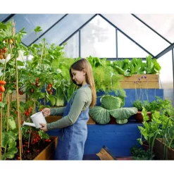 Mythos Doppio Strato Serra Da Giardino in Policarbonato 306X185X208 cm Grigio-Canopia Clearance