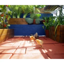 Mythos Doppio Strato Serra Da Giardino in Policarbonato 306X185X208 cm Argento-Canopia