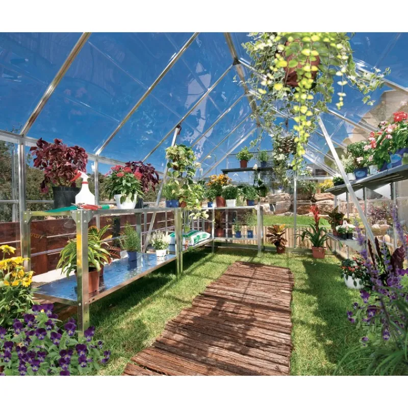 Octave Trasparente Serra Da Giardino in Policarbonato 367X244X229 cm Argento-Canopia Online