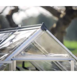 Octave Trasparente Serra Da Giardino in Policarbonato 367X244X229 cm Argento-Canopia Online