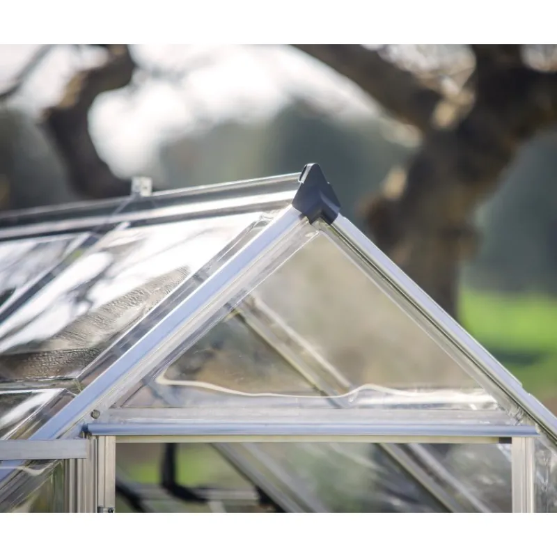 Octave Trasparente Serra Da Giardino in Policarbonato 367X244X229 cm Argento-Canopia Online