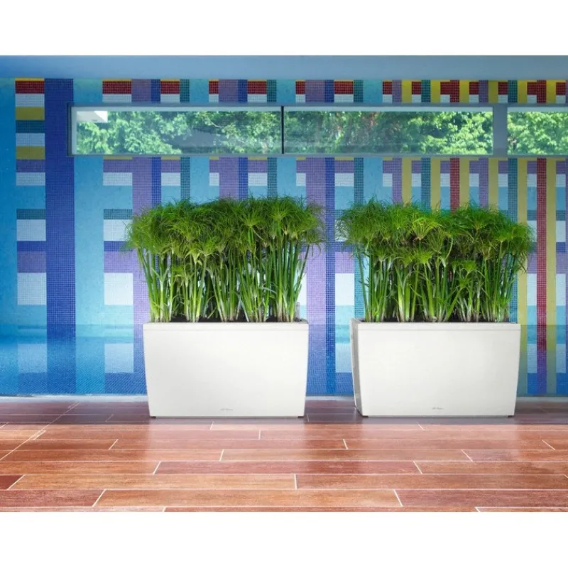 Fioriera Cararo 75 Set Completo-Lechuza Outlet