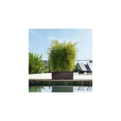 Fioriera Trio Cottage 30 Set Completo-Lechuza