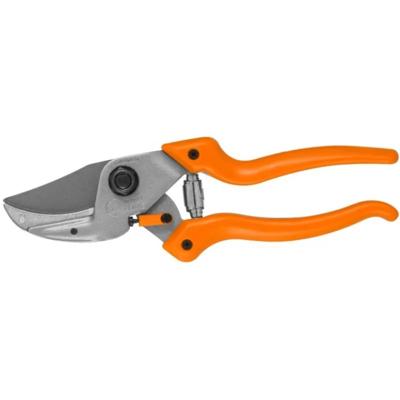 Kit Forbice 8 e DVD-Lowe Discount