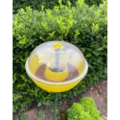 Kit Trappola MELATRAP + VESPOKIL-InVerde New