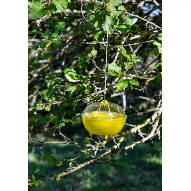 Kit Trappola MELATRAP + VESPOKIL-InVerde New