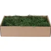 Muschio Spagnolo Verde 500 gr-MyVillage Hot