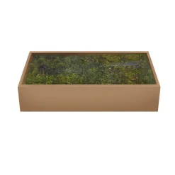 Muschio Verde 500 gr-MyVillage Clearance