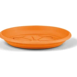 Sottovaso Naxos-Veca Best