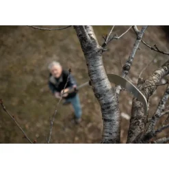 Seghetto Corvo 430 TC con manico telescopico 270 - 460cm-Stocker Discount