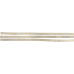 Tutori in bambù sfusi 240 / diametro 22 24 - 1 pezzo-Stocker Online