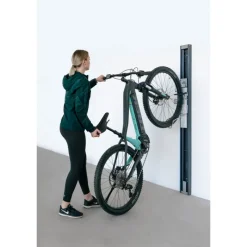 Telaio Porta Bici Bike Lift per Casetta in Metallo-Biohort Clearance