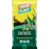 Terriccio Cactacee 20 litri-Vigorplant New