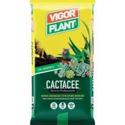 Terriccio Cactacee 20 litri-Vigorplant New