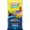Terriccio Cinquestelle 70 litri-Vigorplant Online