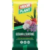 Terriccio Gerani & Surfinie 25 litri-Vigorplant Outlet