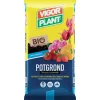 Terriccio Potgrond 20 litri-Vigorplant Discount