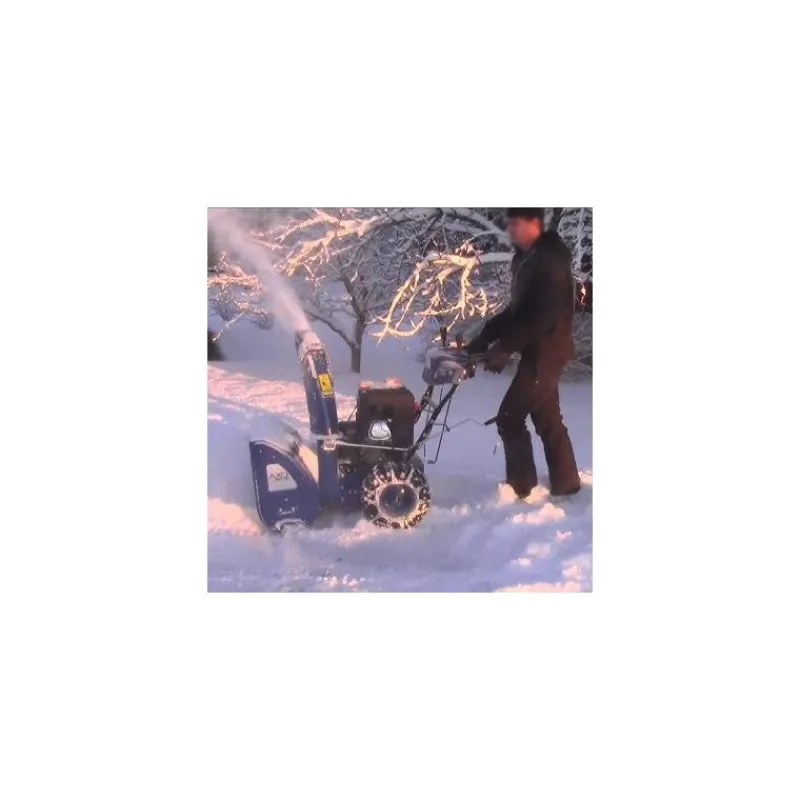 Turbina da Neve Spazzaneve 13 Hp Benzina-Axo