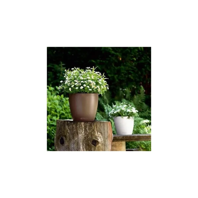 Vaso Classico Color 43 Set Completo-Lechuza Clearance