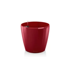 Vaso Classico Premium 60 Set Completo-Lechuza Outlet