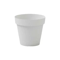 Vaso Cleo Rotondo-Veca Hot