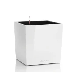 Vaso Cube 30 Set Completo-Lechuza Best