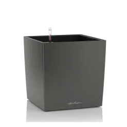 Vaso Cube 30 Set Completo-Lechuza Best