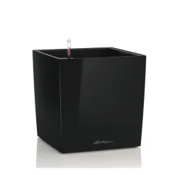 Vaso Cube 50 Set Completo-Lechuza Hot