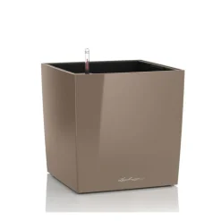 Vaso Cube 50 Set Completo-Lechuza Hot